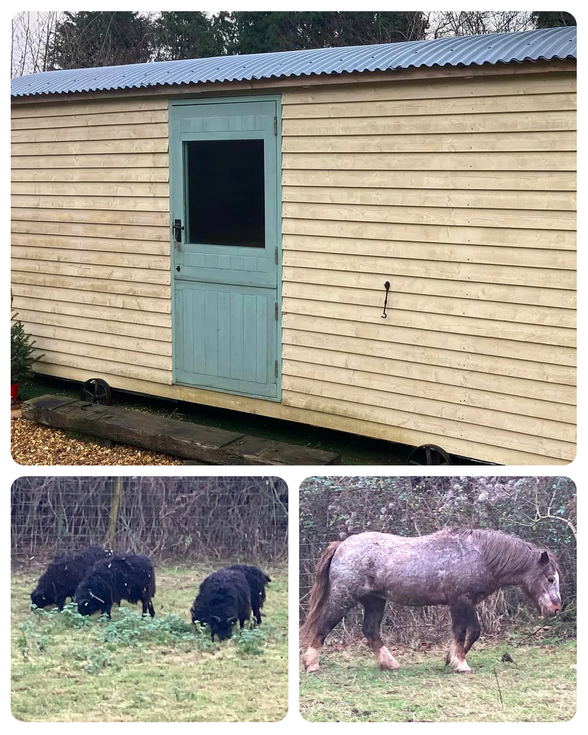 Leigh’s Locksmiths Bridgend fixing a non secure door on an outdoor building on Christmas Eve